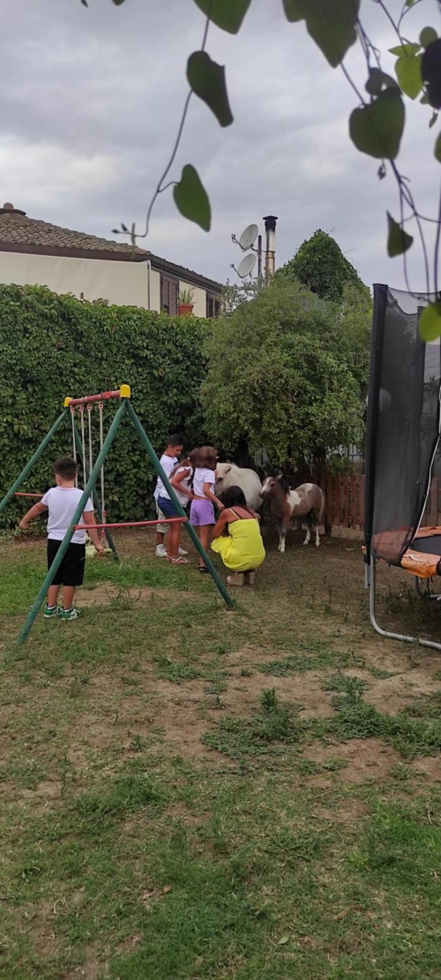 Oasi Del Lago Regalbuto Kültér fotó